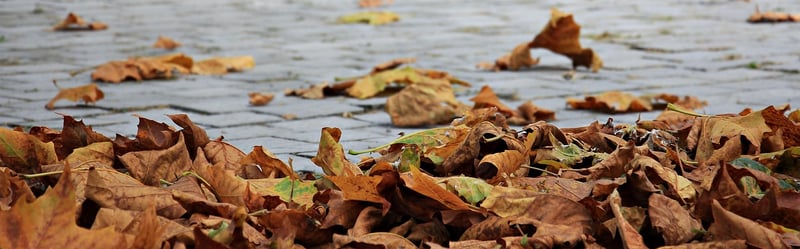 Autumn Traditions