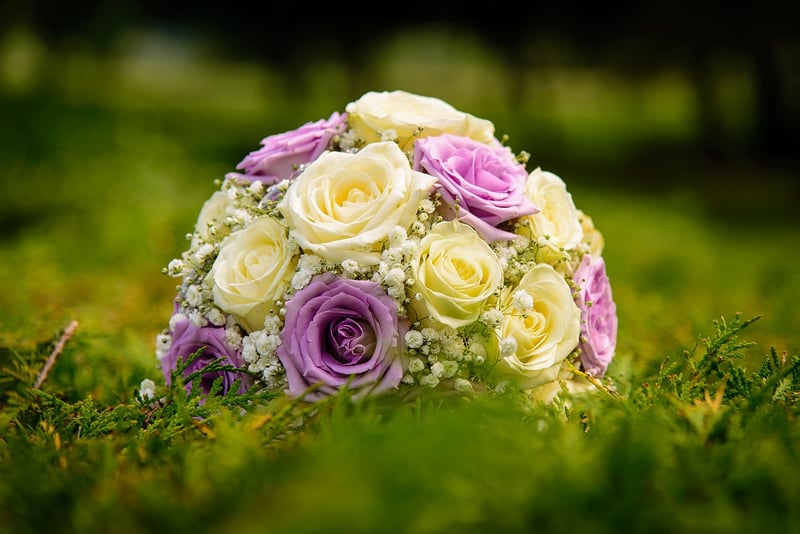 Floral Elegance